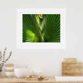 Saw Palmetto Photo Closeup Poster (Keuken)