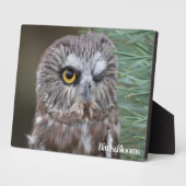 Saw-whet Owl Fotoplaat (Zijkant)