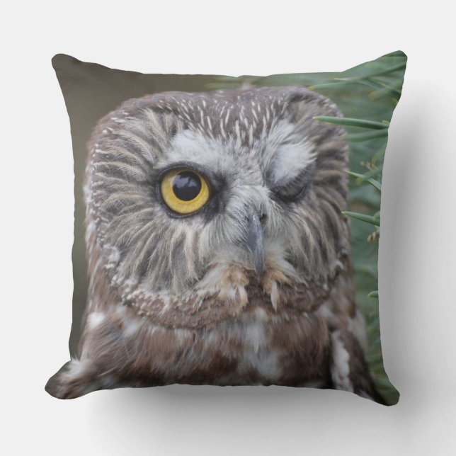 Saw-whet Owl Kussen (Voorkant)