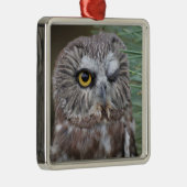 Saw-whet Owl Metalen Ornament (Rechts)
