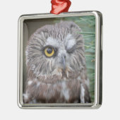Saw-whet Owl Metalen Ornament (Links)