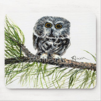 Saw Whet Owl Muismat