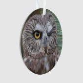 Saw-whet Owl Ornament (voorkant)