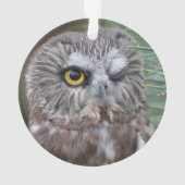 Saw-whet Owl Ornament (achterkant)