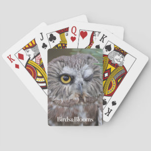 Saw-whet Owl Speelkaarten