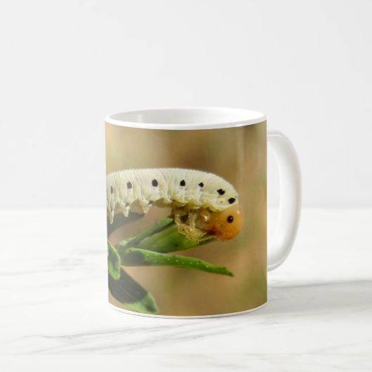 Sawfly Larvae Bug Mok (Voorkant rechts)