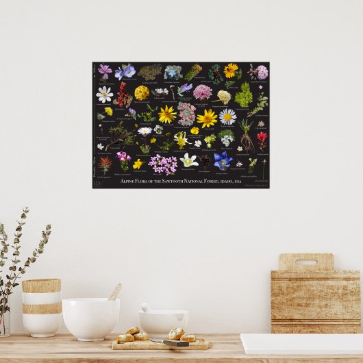 Sawtooth Alpine Flora Poster (Keuken)