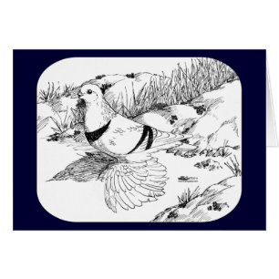 Saxon Crescent Pigeon 1973