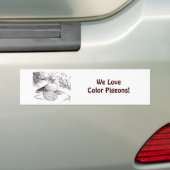 Saxon Field Pigeon Bumpersticker (Op auto)