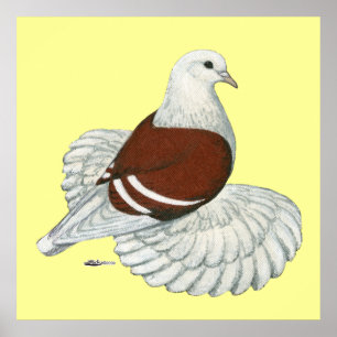 Saxon Shield Red White Bar Poster