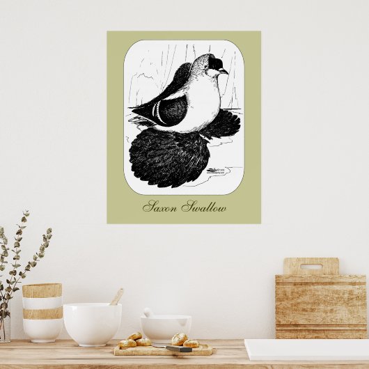 Saxon Swallow Pigeon 1978 Poster (Keuken)