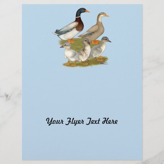 Saxony Duck Family Flyer (Voorkant)