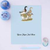 Saxony Duck Family Flyer (Enkel)