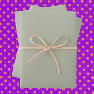 Saybrook Sage Solid Color Inpakpapier Vel