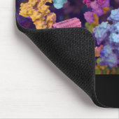 SB-Muismat Muismat (Hoek)