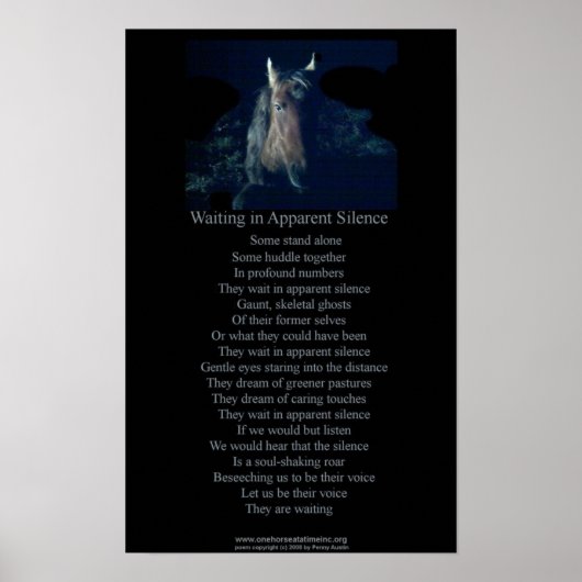 SC POSTER (Voorkant)