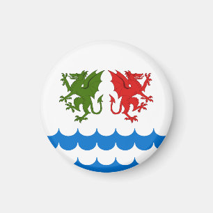 SCA Dragons Bay Magnet Magneet