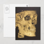 Scale schedel briefkaart (Voorkant / Achterkant)