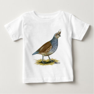Scaled Quail