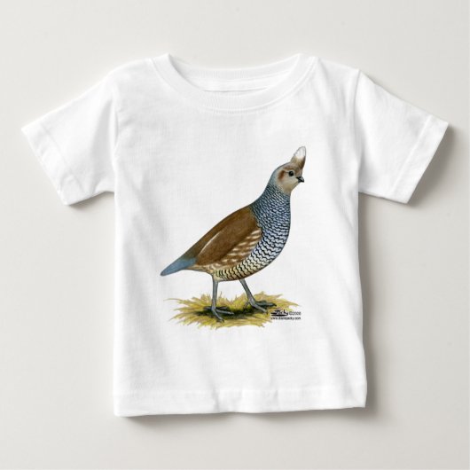 Scaled Quail (Voorkant)