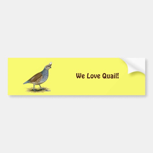 Scaled Quail Bumpersticker (Voorkant)
