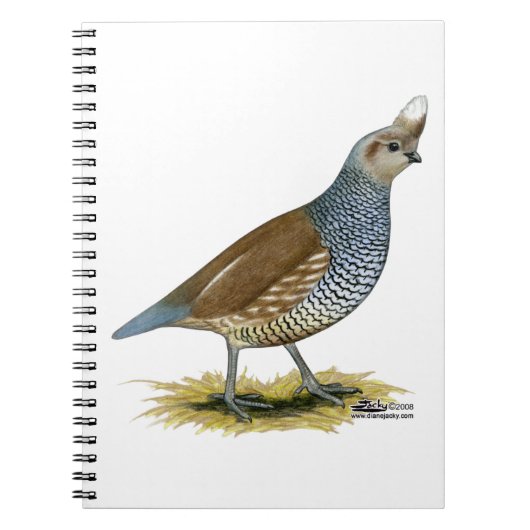 Scaled Quail Notitieboek (Voorkant)