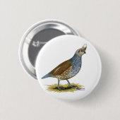 Scaled Quail Ronde Button 5,7 Cm (Voorkant /achterkant)