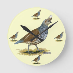 Scaled Quail Ronde Klok