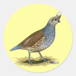 Scaled Quail Ronde Sticker