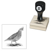 Scaled Quail Rubberstempel (Gestempeld)