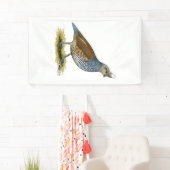 Scaled Quail Spandoek (Insitu)