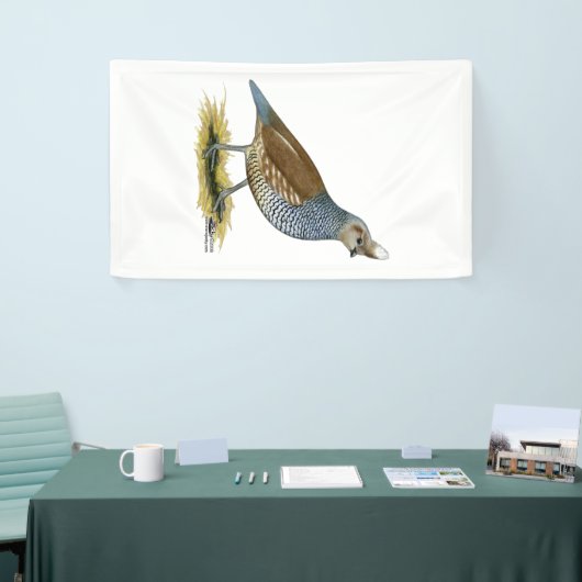 Scaled Quail Spandoek (Beurs)