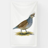 Scaled Quail Spandoek (Verticaal)