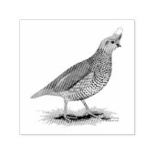 Scaled Quail Zelfinktende Stempel (Design)