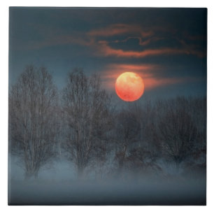 Scalenghe in Piemonte, Italië Tegeltje