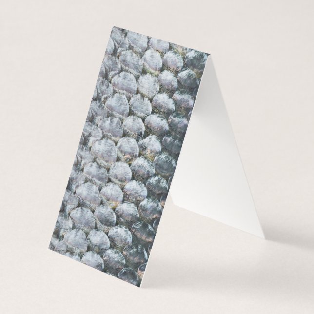 Scales Saumons brillantes (Front)
