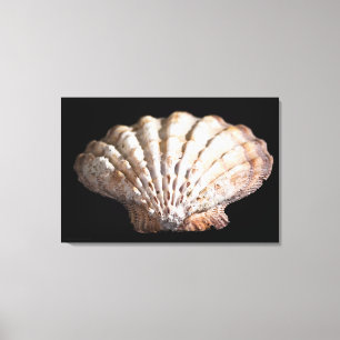 Scallop 3236 canvas afdruk