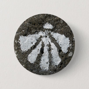 Scallop Shell Button