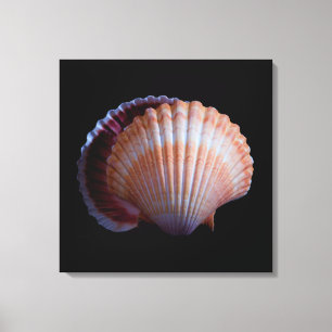 Scallop Shell Canvas Afdruk