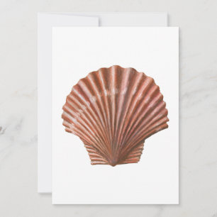 Scallop Shell Kaart