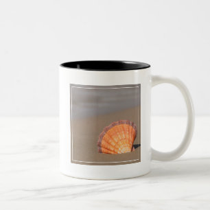 Scallop Shell  Kreta, Griekenland Tweekleurige Koffiemok