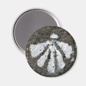 Scallop Shell Magnet Magneet (Voorkant / Achterkant)