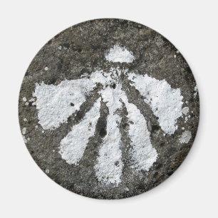 Scallop Shell Magnet Magneet