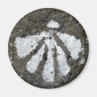 Scallop Shell Magnet Magneet