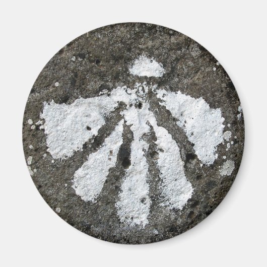 Scallop Shell Magnet Magneet (Voorkant)