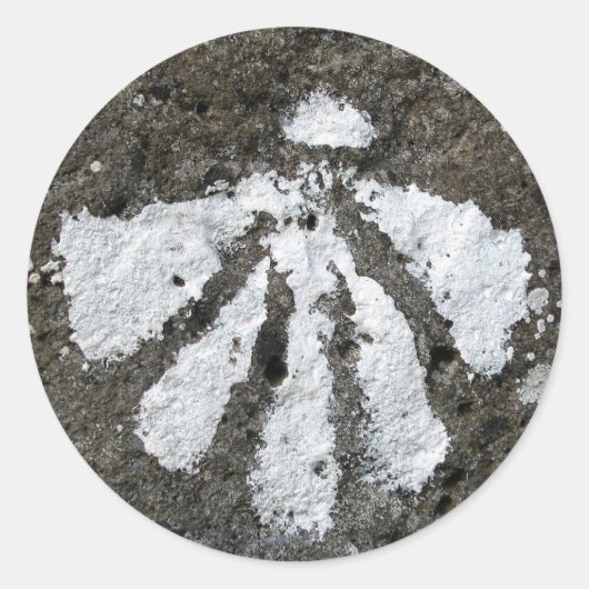 Scallop Shell Stickers (Voorkant)