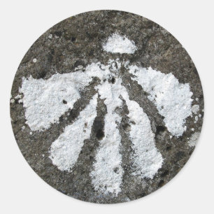 Scallop Shell Stickers