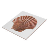 Scallop Shell Tegeltje (Zijkant)