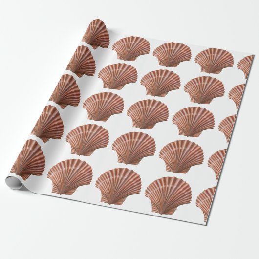 Scallop Shells Cadeaupapier (Uitgerold)