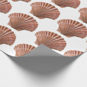 Scallop Shells Cadeaupapier (Hoek)